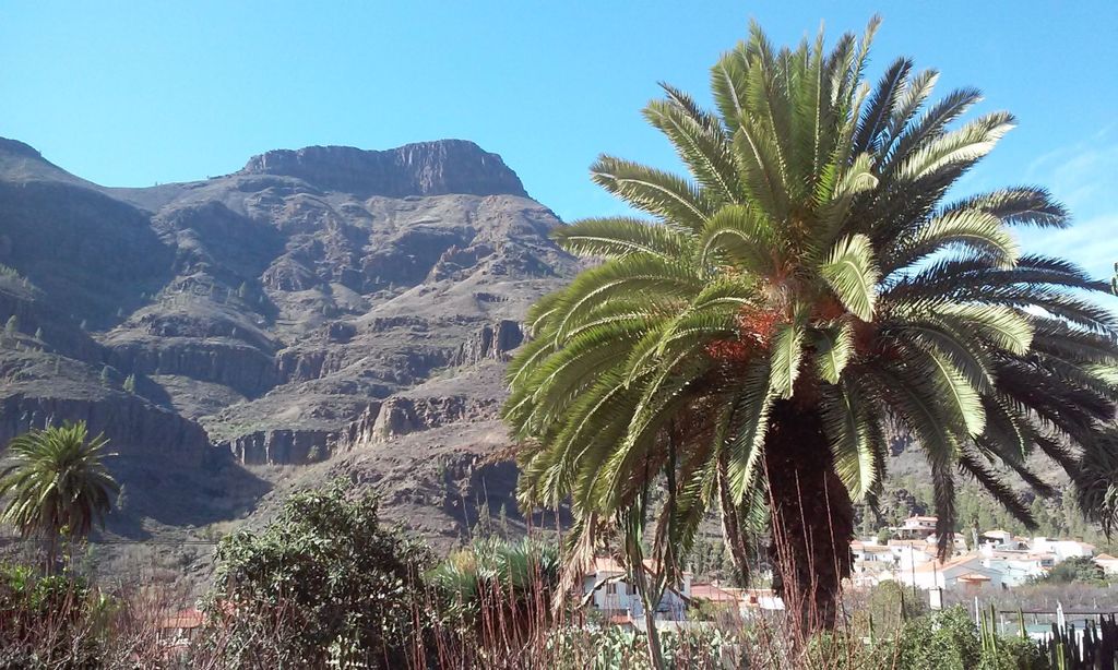 Gran Canaria: 8-stündige Highlight-Tour ab Las Palmas