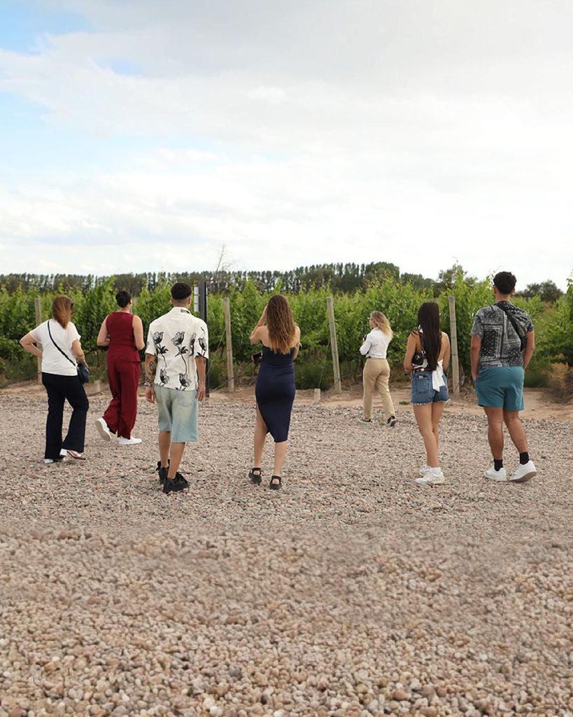 Ganztägige Weintour mit Mittagessen und privatem Transfer