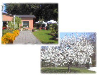 Baumblüte in Kerzendorf