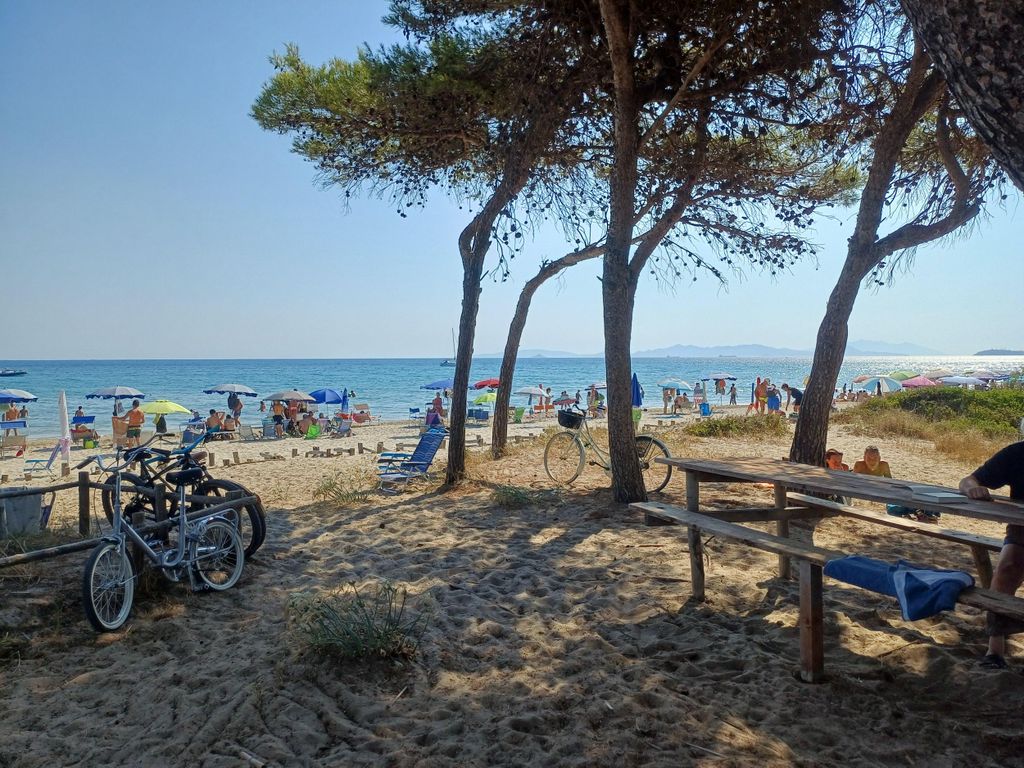 Riotorto: Mit dem E-Bike durch den Parco della Sterpaia bis nach Torre Mozza