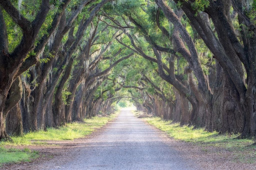 Bayous And Byways, Oak Alley Plantation und Kajak-Sumpf-Tour