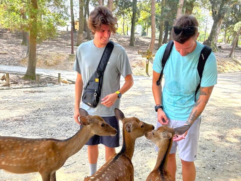Nara: Halbtagestour private Tour zu 4 sehenswerten Orten und Hirschpark