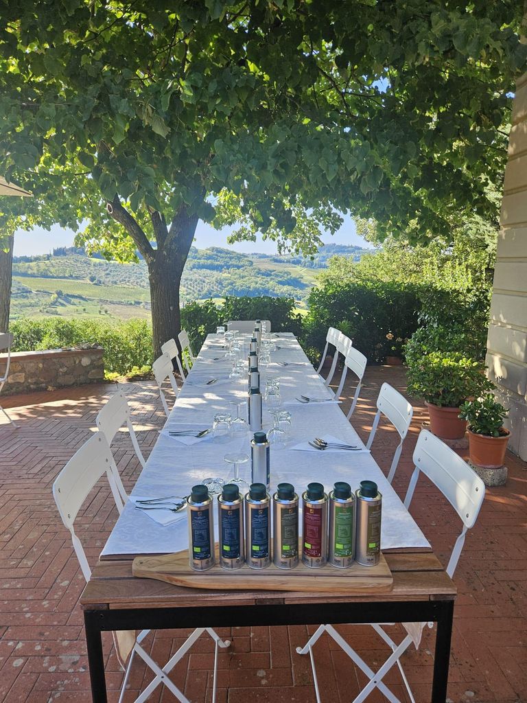 Chianti: Besuch der Ölmühle und Verkostung von nativem Olivenöl extra