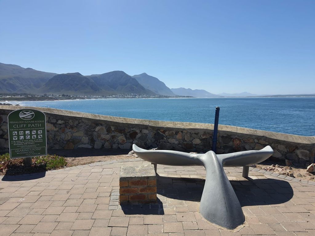 Kapstadt: Walbeobachtung in Hermanus mit einem gemeinsamen Boot & Pinguine