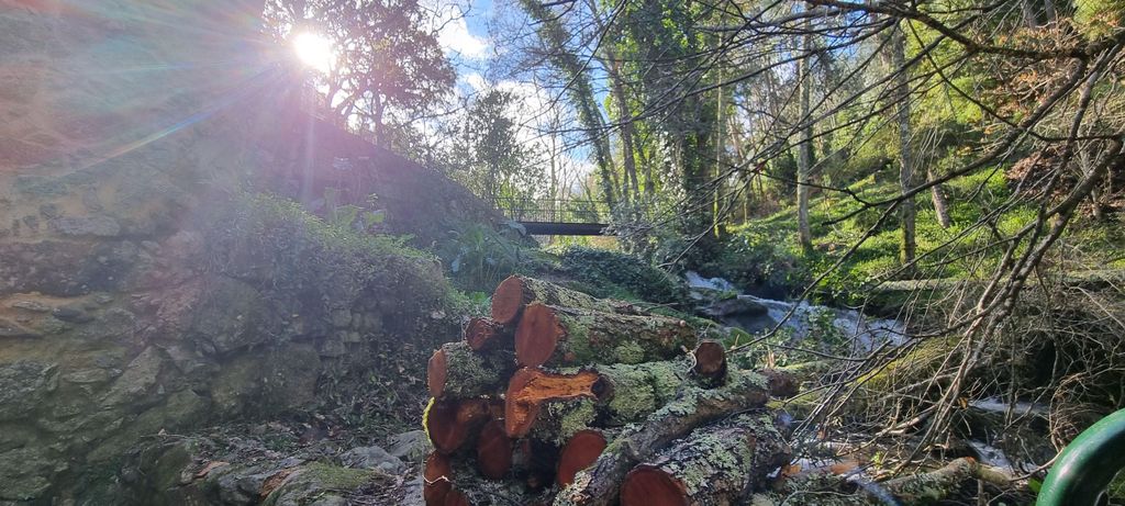 Monchique Jeep Tour mit Picknick & versteckten Aussichtspunkten