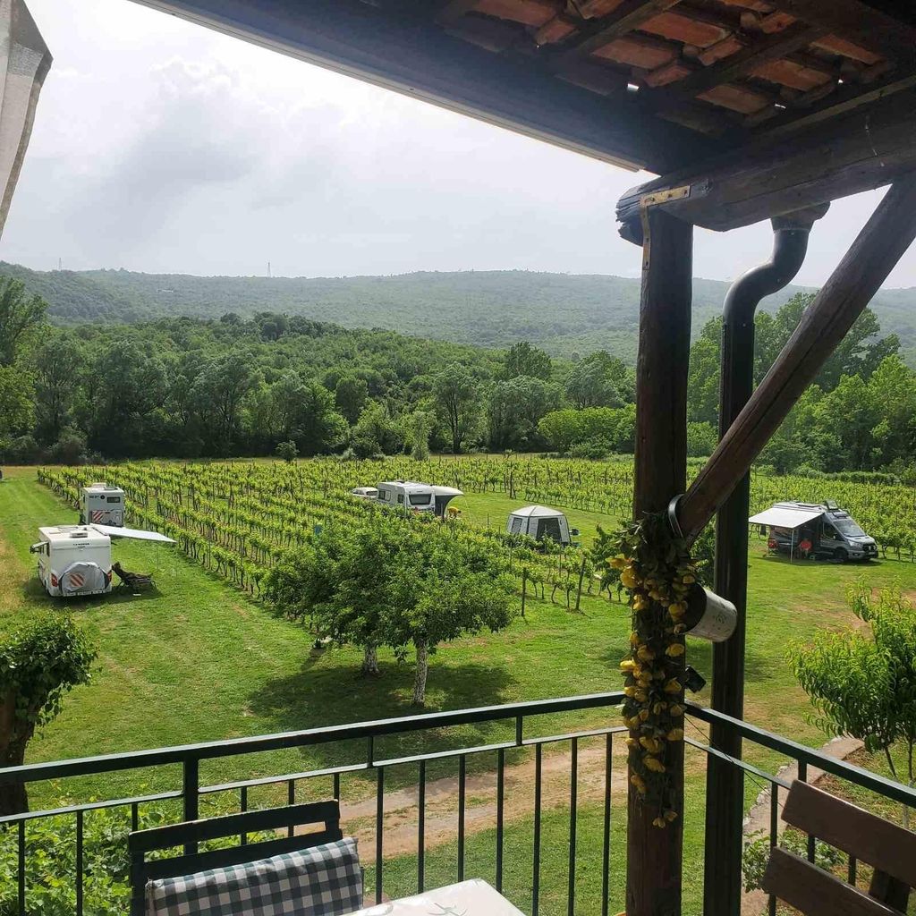 Podgorica: Weinverkostung mit Panoramablick & Snack