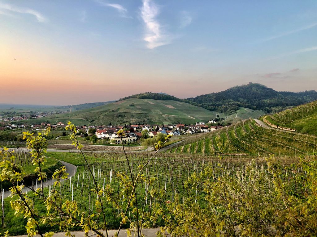 Baden-Baden: Private E-Bike-Tour mit ortskundigem Guide