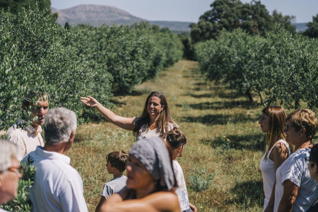 Girona: Olivenhaine & lokale Verkostungstour mit dem Fahrrad an der Costa Brava