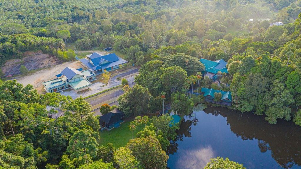 Regenwald Tour, Labuk Bay, Sun Bear & Sepilok | Sandakan