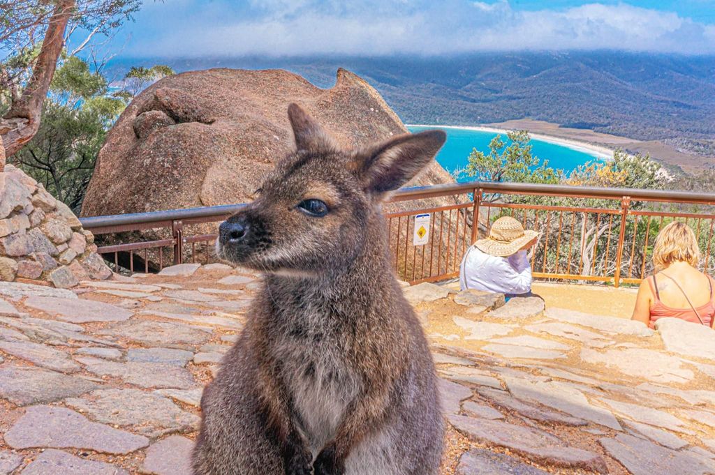 Hobart: Wineglass Bay, Freycinet Park und Richmond Tour