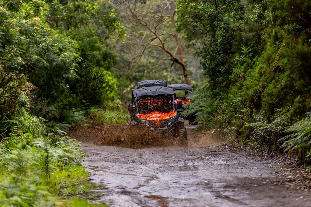 Madeira: Offroad-Buggy-Abenteuer durch den Laurissilva-Wald