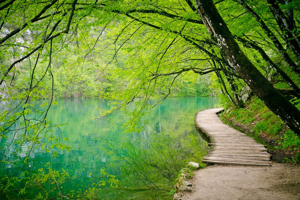 Steg im Plitvice Nationalpark