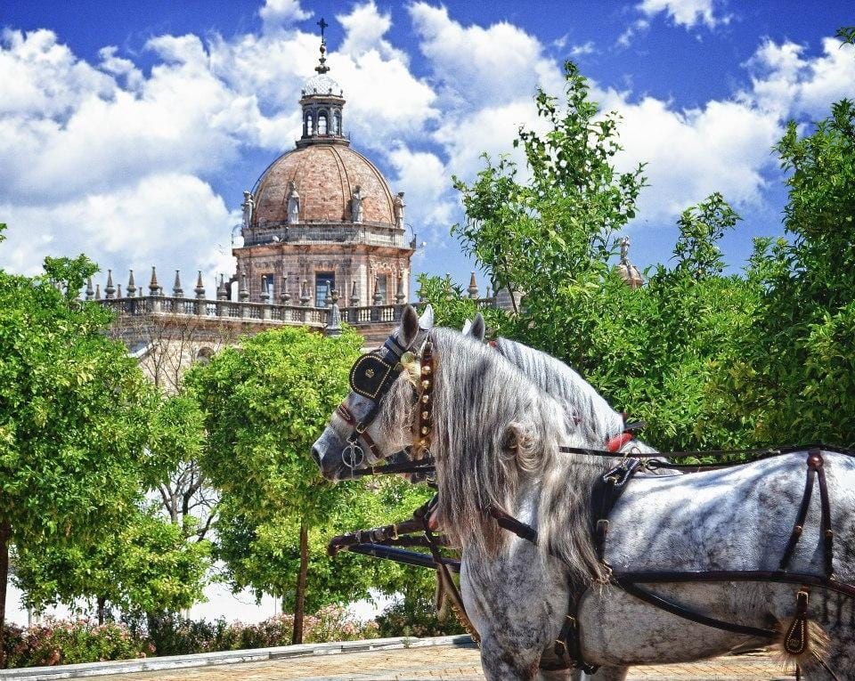 Jerez: Historic Center Guided Tour