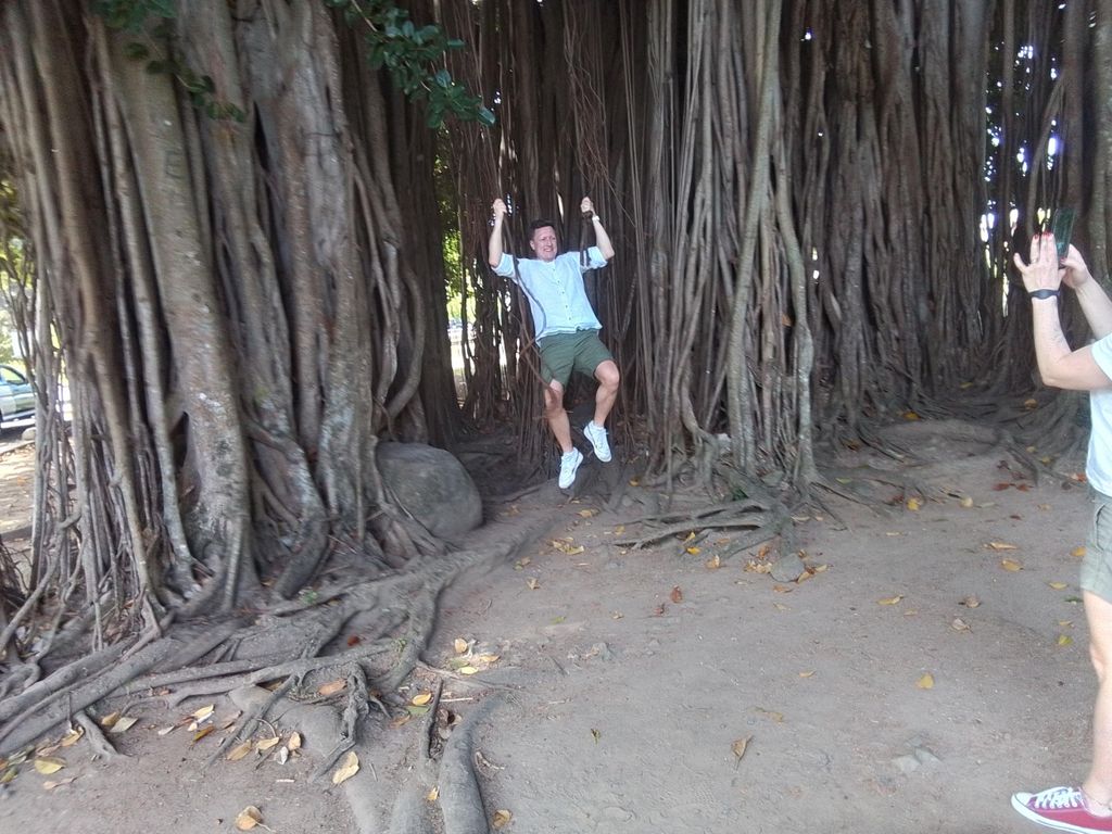 Roseau: Tour durch den Regenwald zu den Trafalgar Wasserfällen und Geysiren.