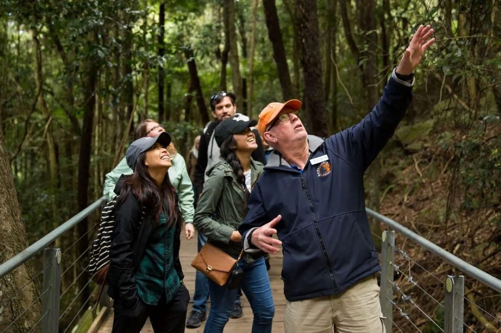 Blue Mountains: Scenic World, Wildtiere, Wasserfall