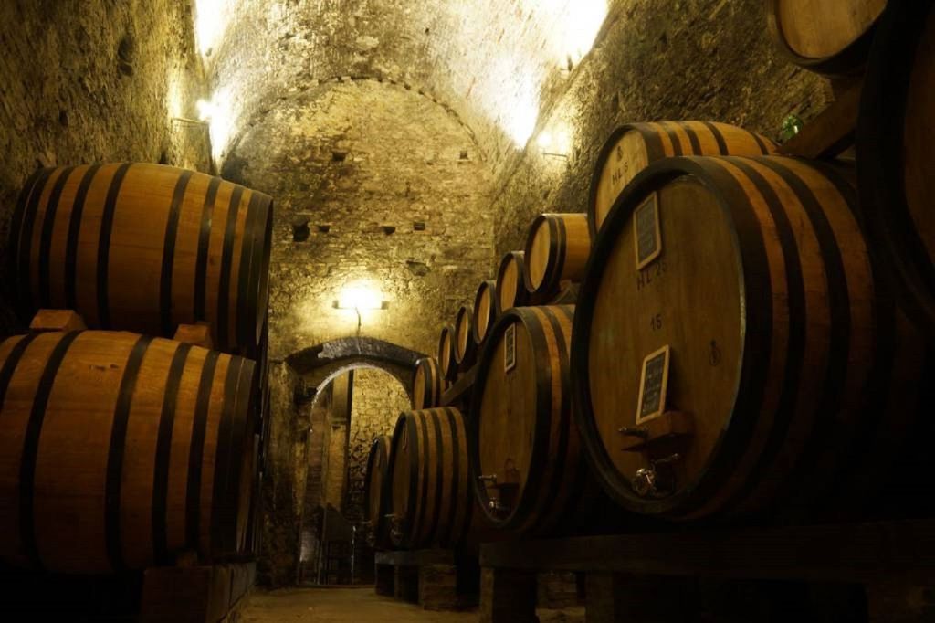 Montepulciano: Weinverkostung und Tour durch die Kellerei