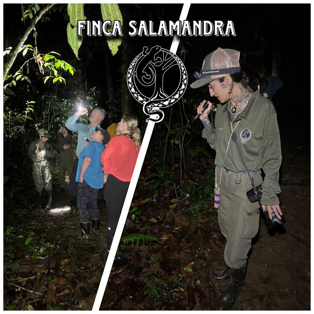 Wahre Nachttour durch den Dschungel im Gebiet von Manuel Antonio