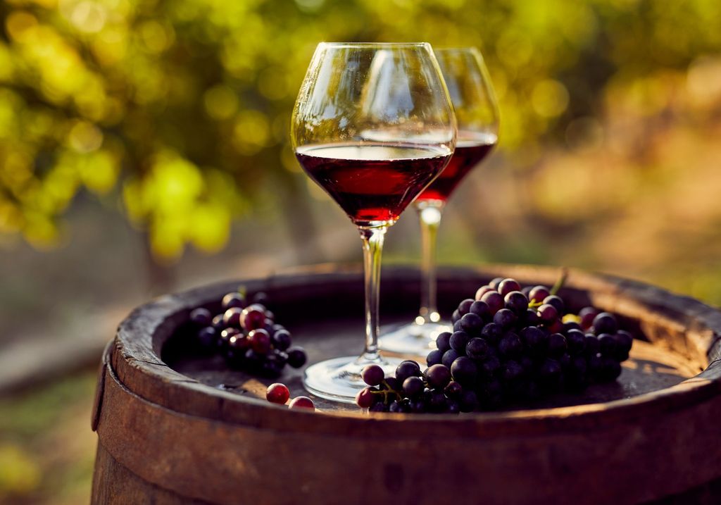 Guayaquil: Dos Hemisferios: Weinberg-Tour mit Mittagessen (geteilt)