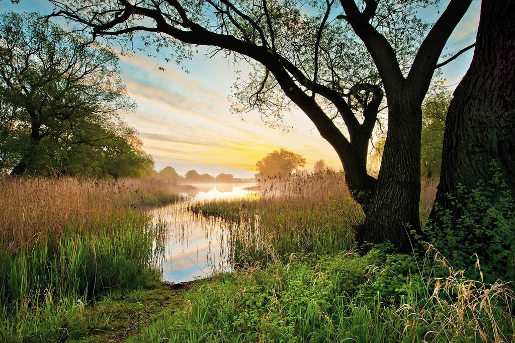 Stille Gehmeditation: Geführte Meditation im Gartenreich Dessau-Wörlitz