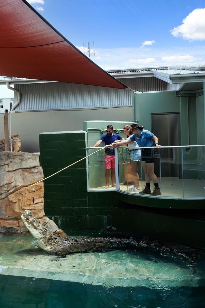 Darwin: VIP-Erlebnis in der Crocosaurus Cove