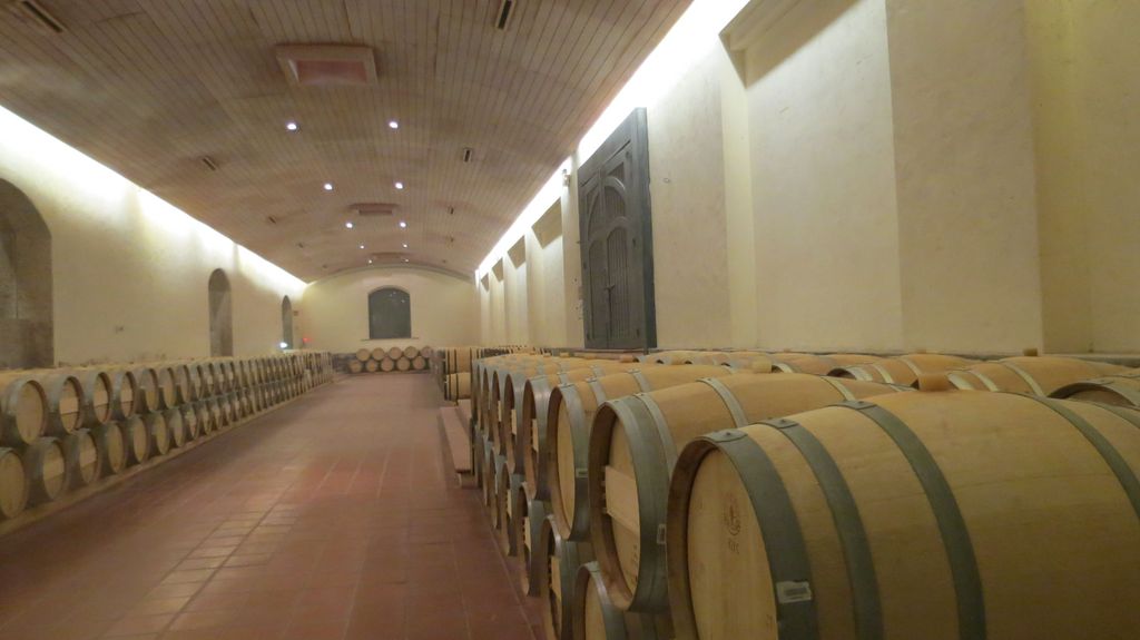 Tour Centro de Vino Concha y Toro