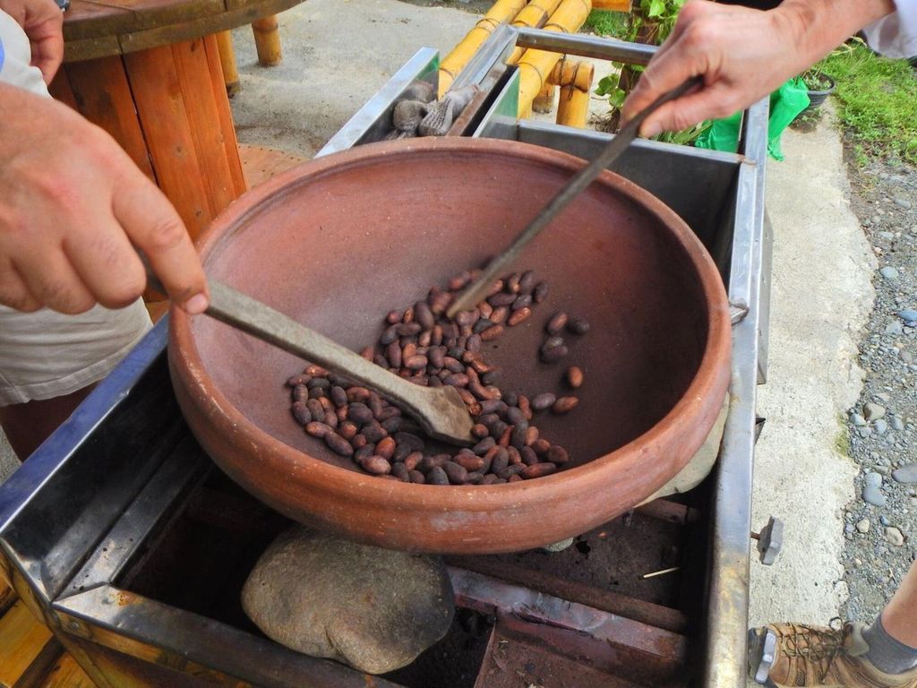 Guayaquil: Epische Kakaofarm & Stadtführung erleben