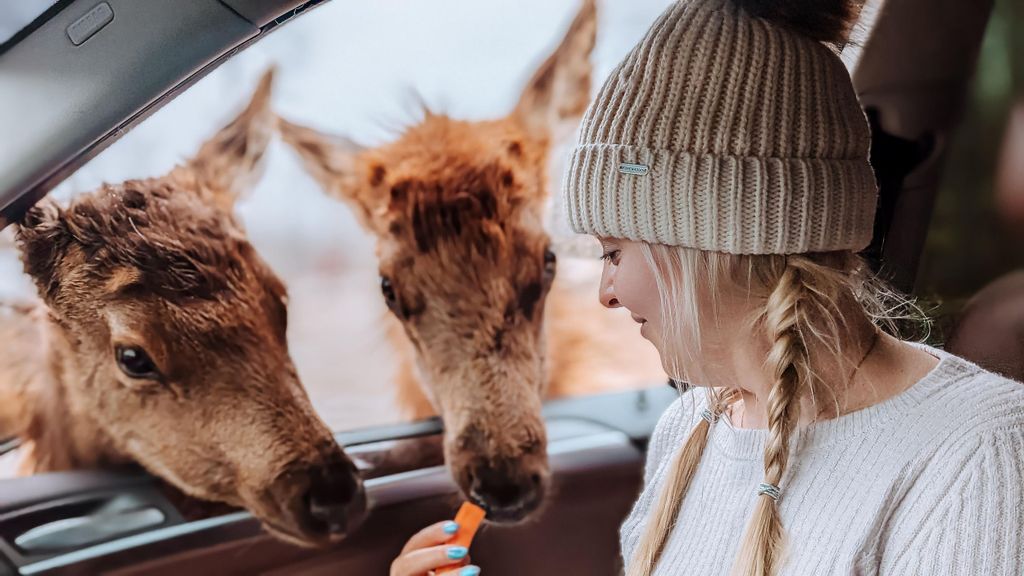 Ottawa: Private Wildtier-Safari im Parc Omega – Winterzauber