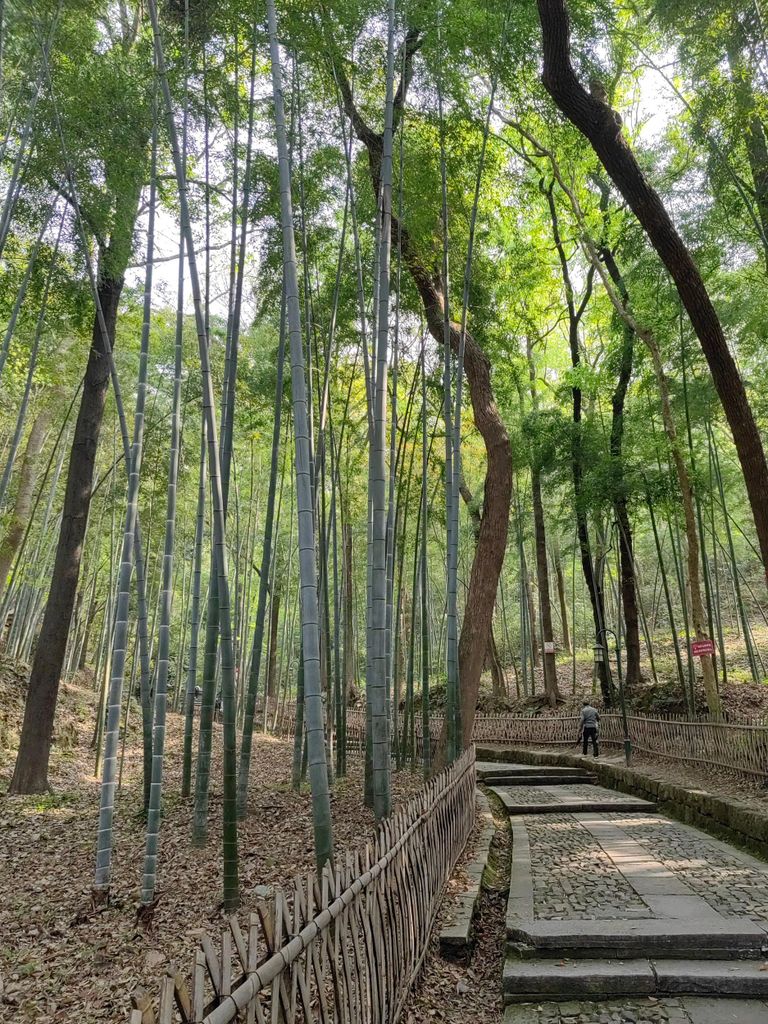 Hangzhou: Individuelle Tour mit ortskundigem Guide