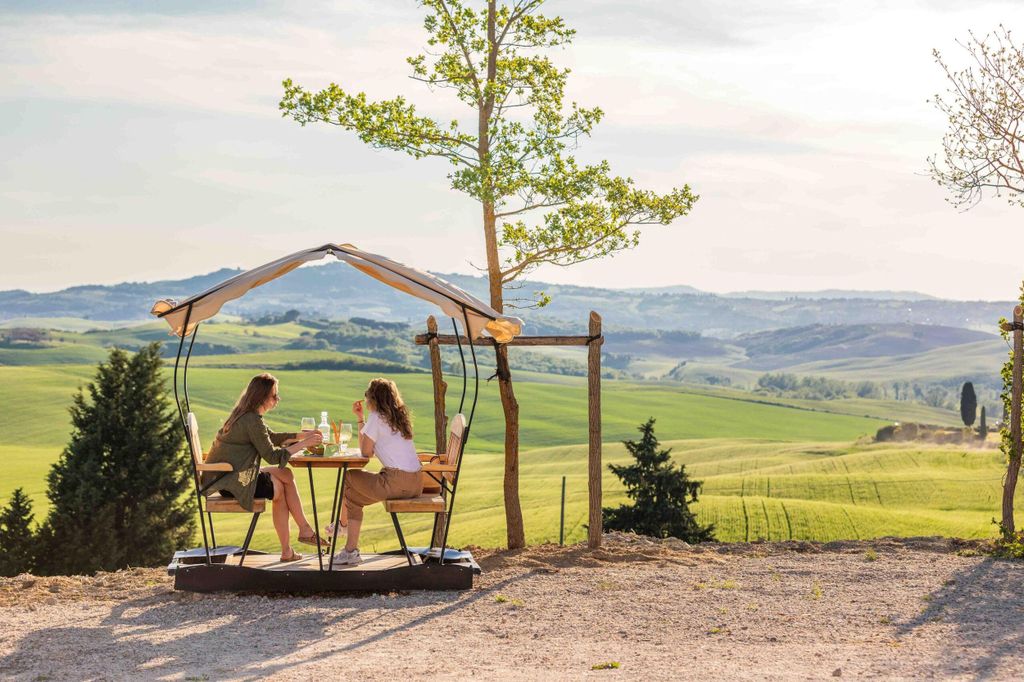 Pienza: geführte Verkostung von Orcia DOC-Wein und biologischem nativem Olivenöl extra