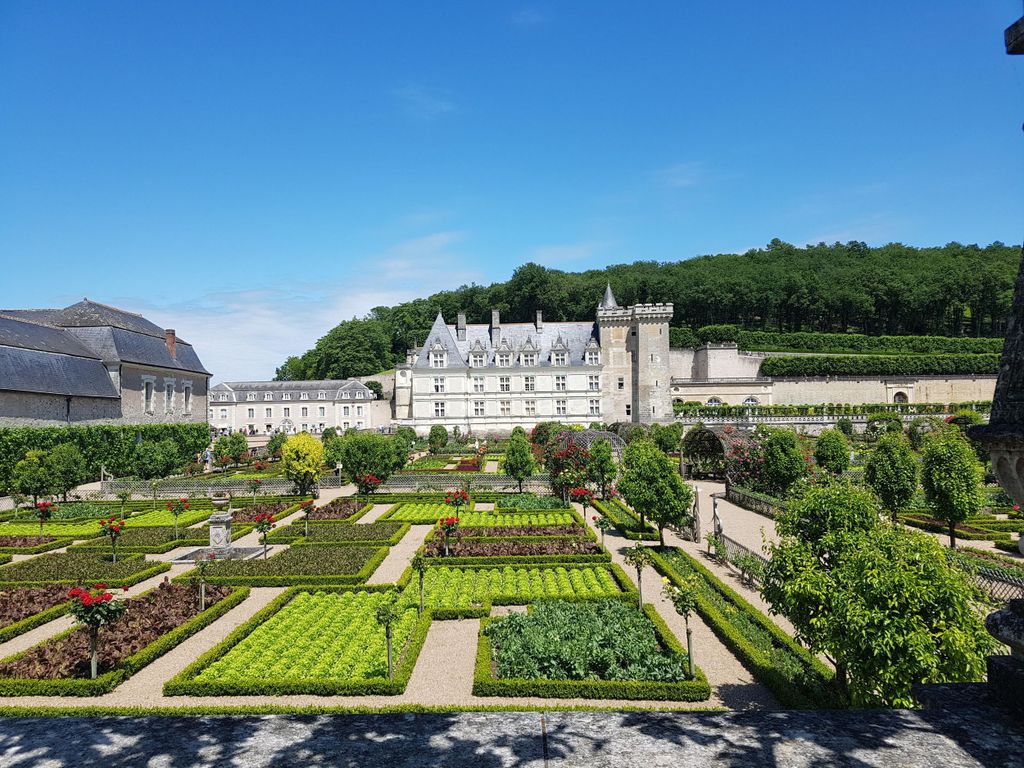 Von Amboise: Villandry, Azay-le-Rideau & lokale Weingüter