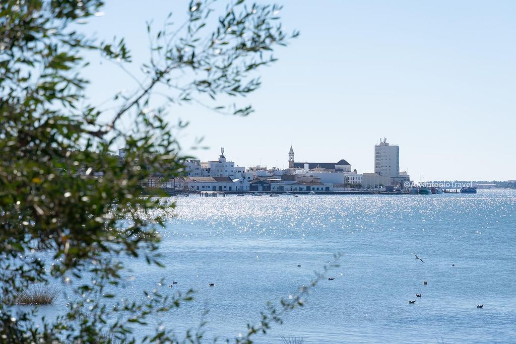 Ayamonte: Führung durch die Ribera und ihre Geschichte