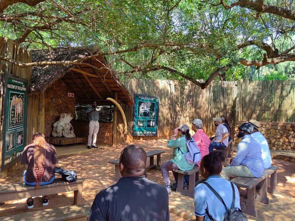 Elefanten- und Affengehege mit Löwenpark-Tour