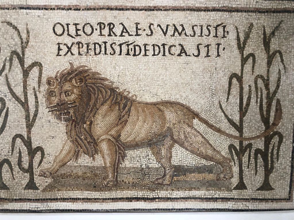 Private Tour durch Tunesien: 6 UNESCO-Stätten in 6 Tagen Tour