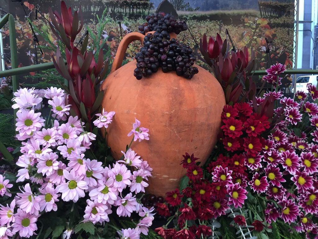 Madeira Privat 4-Sitzer Mercedes VIP