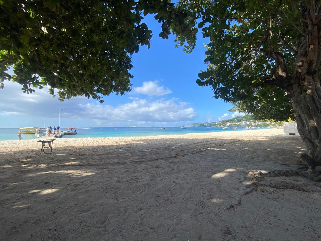Grenada: Gewürz- und Kräutergarten-Tour mit Strandbesuch