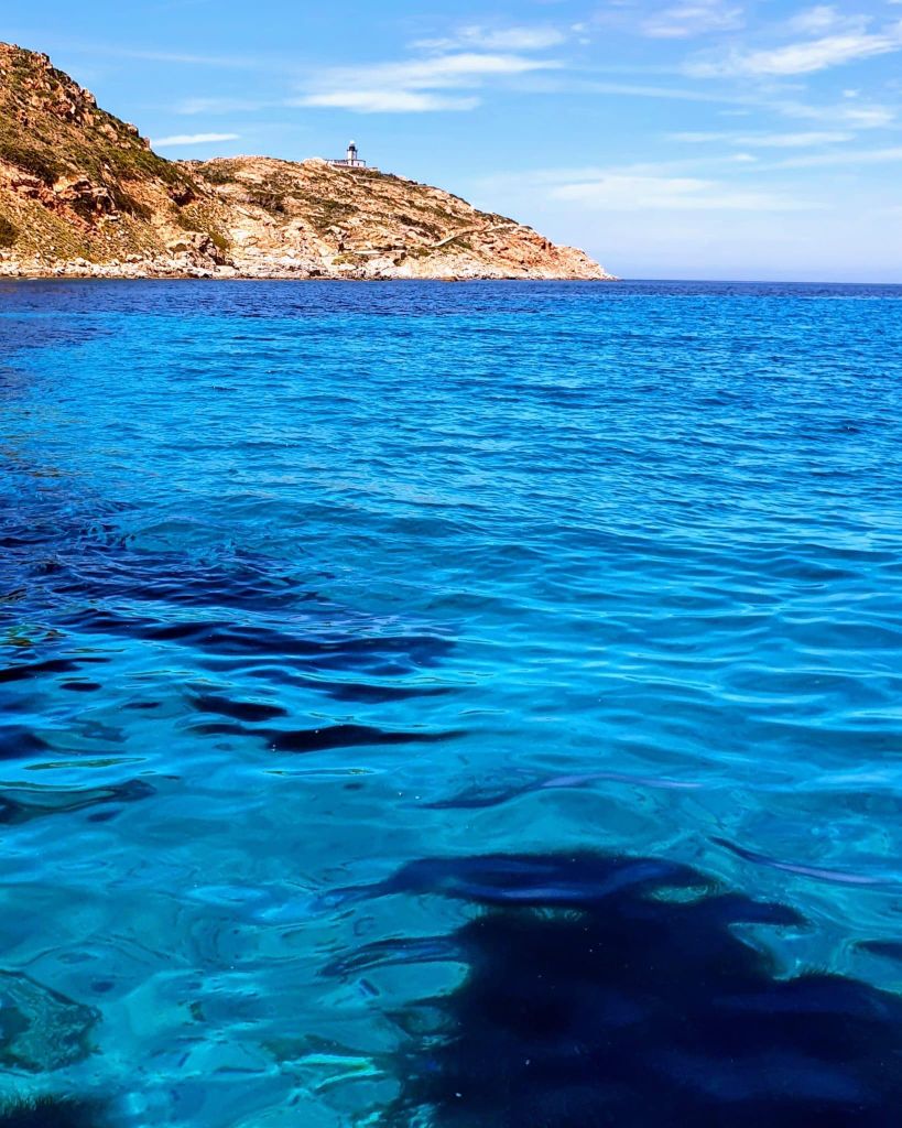Calvi: Pointe de la Revellata Schnorchel-Bootstour