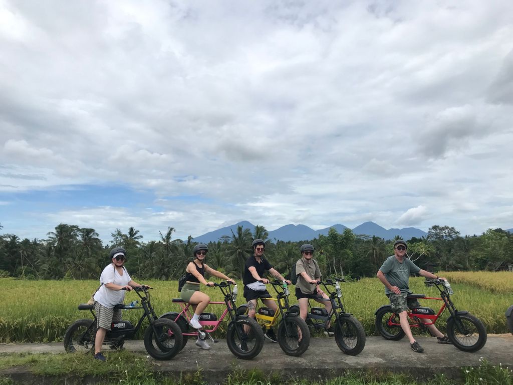 Ubud: Reisterrassen & Dörfer Halbtagestour mit dem Fat Tire E-Bike