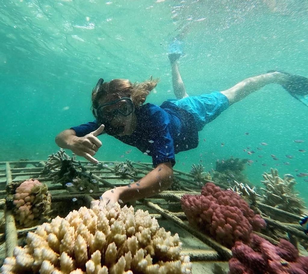 Morgen auf See: Delfine, mauritisches Frühstück, natürliches Aquarium, Cristal Rock