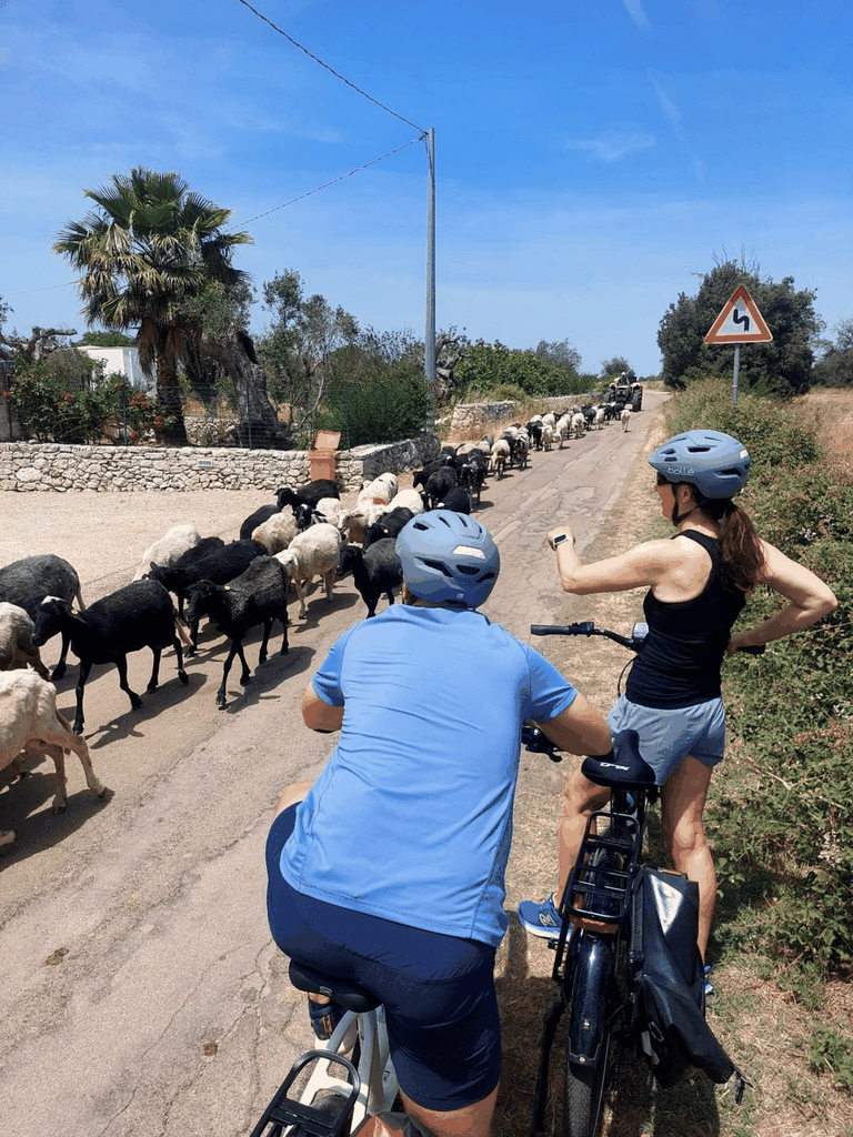 Lecce: E-Bike-Tour zur Olivenmühle von Galatina & Weinprobe + Taxi