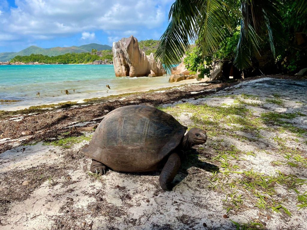 Tagestour zu den Inseln Curieuse und St. Pierre mit Barbecue-Mittagessen