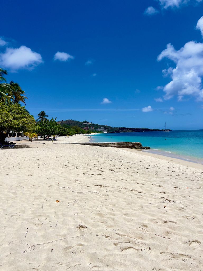Grenada: Annandale Wasserfall, Grand Etang, Grand Anse Strand