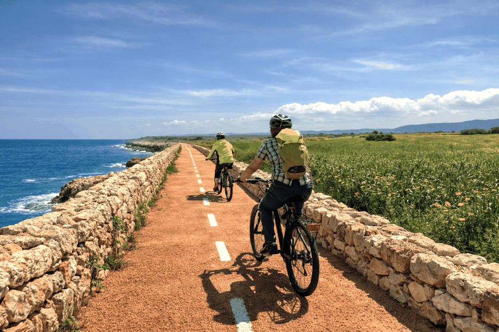 Monopoli: Alte Olivenhaine & E-Bike-Tour an der Küste