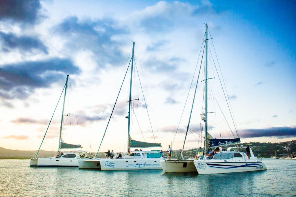 Knysna: Luxus-Katamaran Marine Adventure Tour