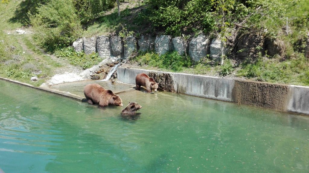 Private Tagestour von Zug nach Bern