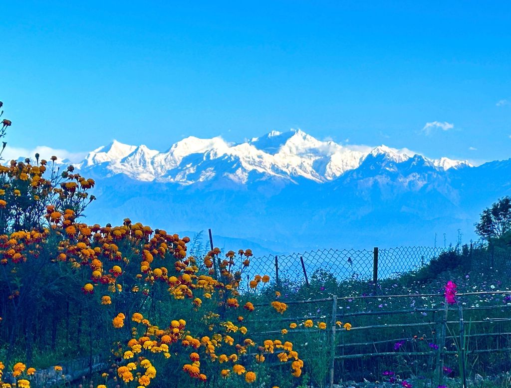 Darjeeling: Tiger Hill Sonnenaufgangswanderung - Geführte Tagestour
