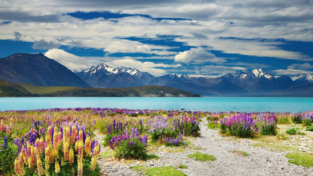 Privater Panorama-Transfer von Queenstown zum Lake Tekapo