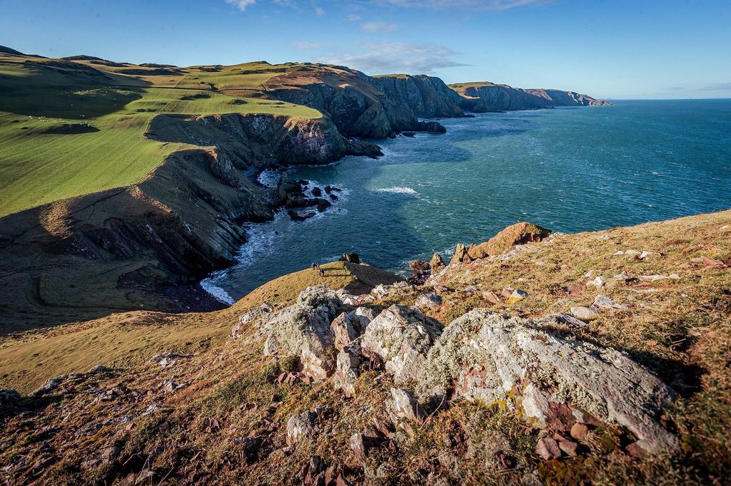 Ab Edinburgh: Luxustour nach St. Abbs und Berwickshire