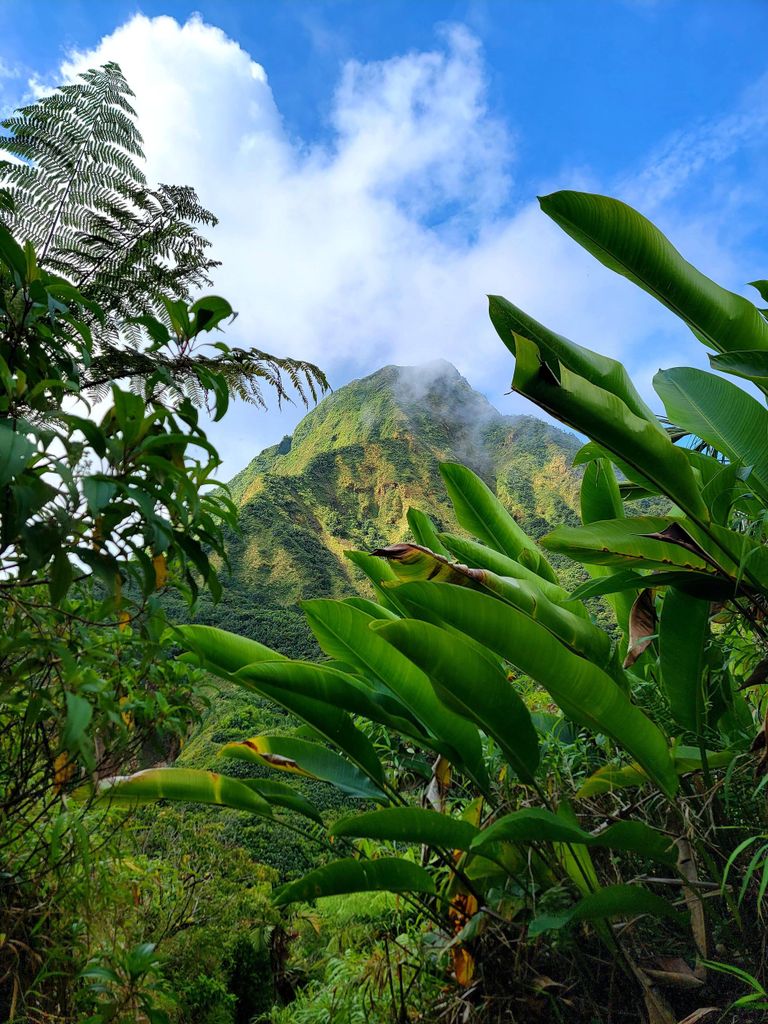 Dominica: Wandertour zum kochenden See!