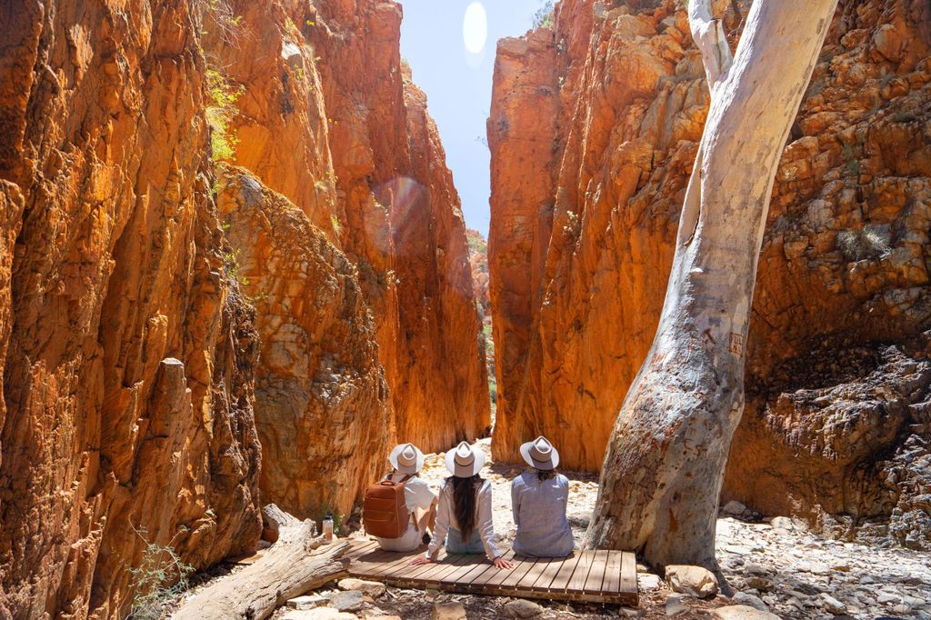 Alice Springs: West MacDonnell Ranges Tagestour mit Mittagessen