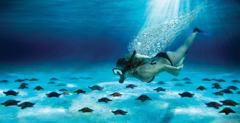 Cozumel: El Cielo & Palancar Schnorcheln mit Open Bar & Ceviche